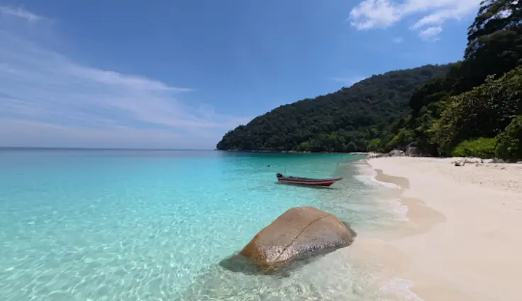 حمل&zwnj;ونقل و جابجایی در تور مالزی سنگاپور